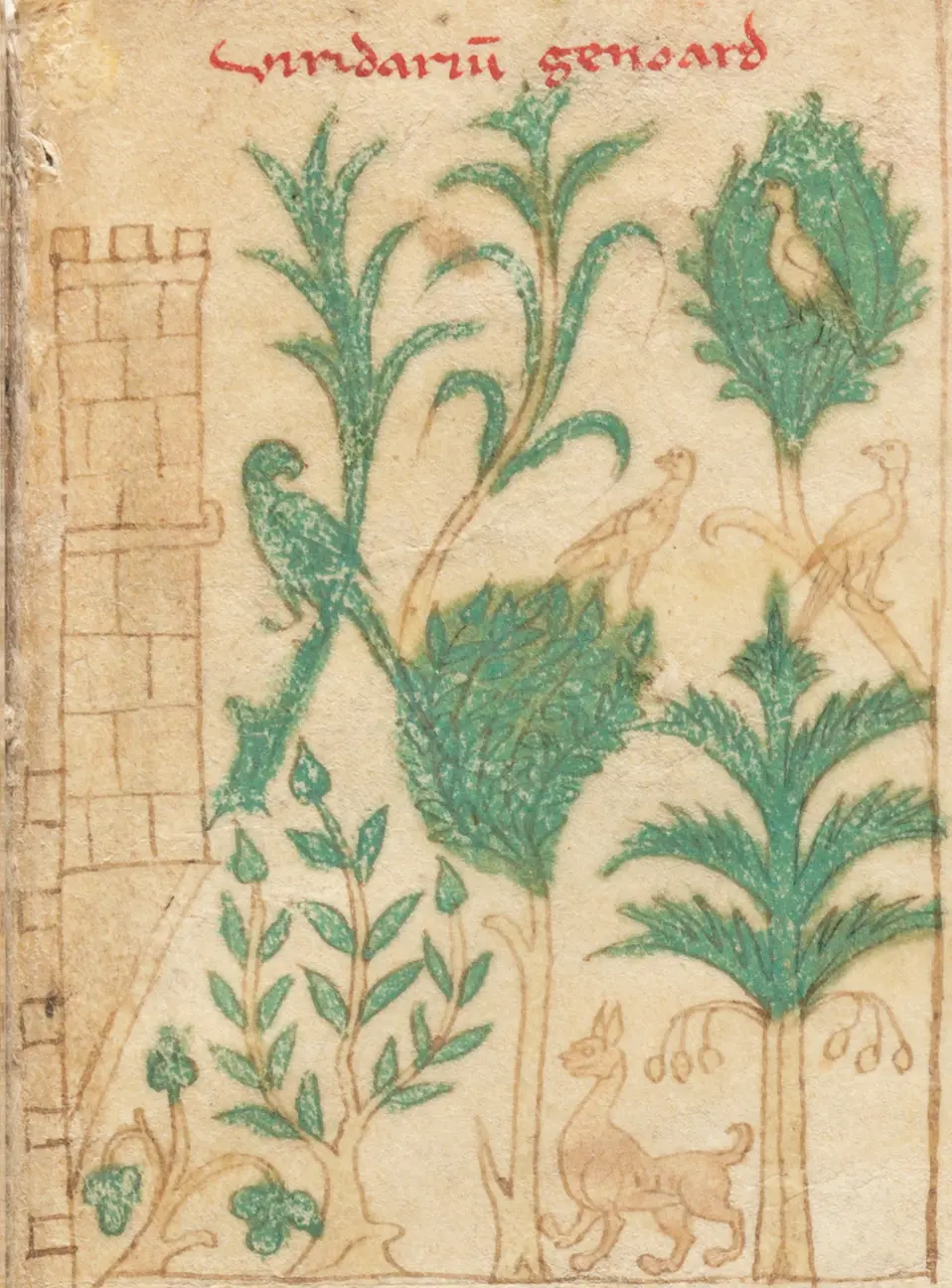 Historical depiction of the Genoard gardens